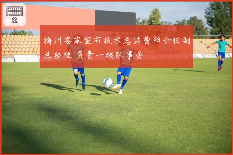 梅州客家宣布技术总监曹阳升任副总经理 负责一线队事务