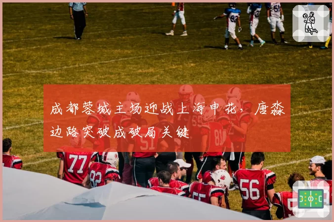 成都蓉城主场迎战上海申花，唐淼边路突破成破局关键